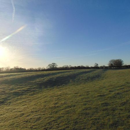 Fieldsview Villa Wrexham Eksteriør billede